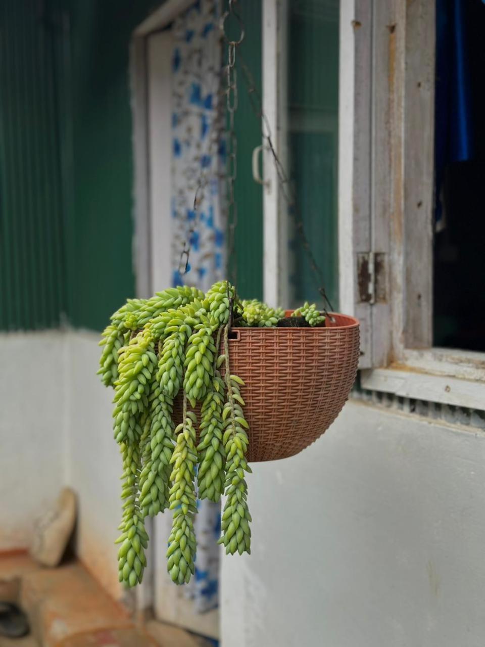 Eviana Homestay Darjeeling  Exterior foto